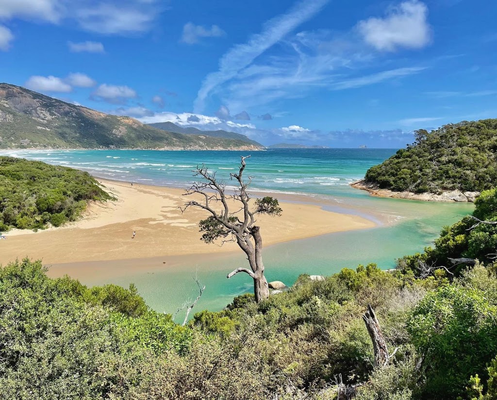 Walkabout Gourmet Adventures | 735 Callignee S Rd, Callignee VIC 3844, Australia | Phone: 0461 277 612