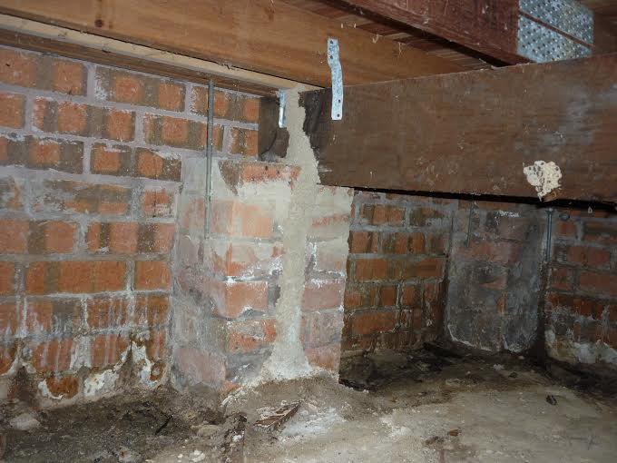 TermitesRus: Termite Inspection Brisbane, Termite control Brisba | home goods store | Ormeau, 27 Lynbrook Ave, Brisbane QLD 4208, Australia | 0403822621 OR +61 403 822 621