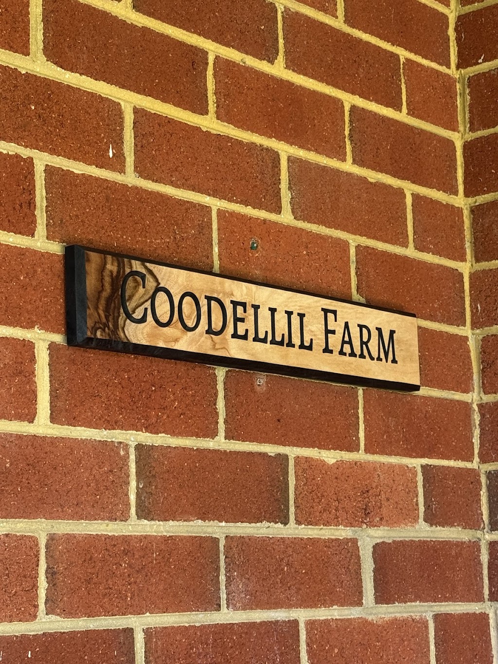 Coodellil Farm | 160 Logans Crossing Rd, Logans Crossing NSW 2439, Australia | Phone: 0432 240 073
