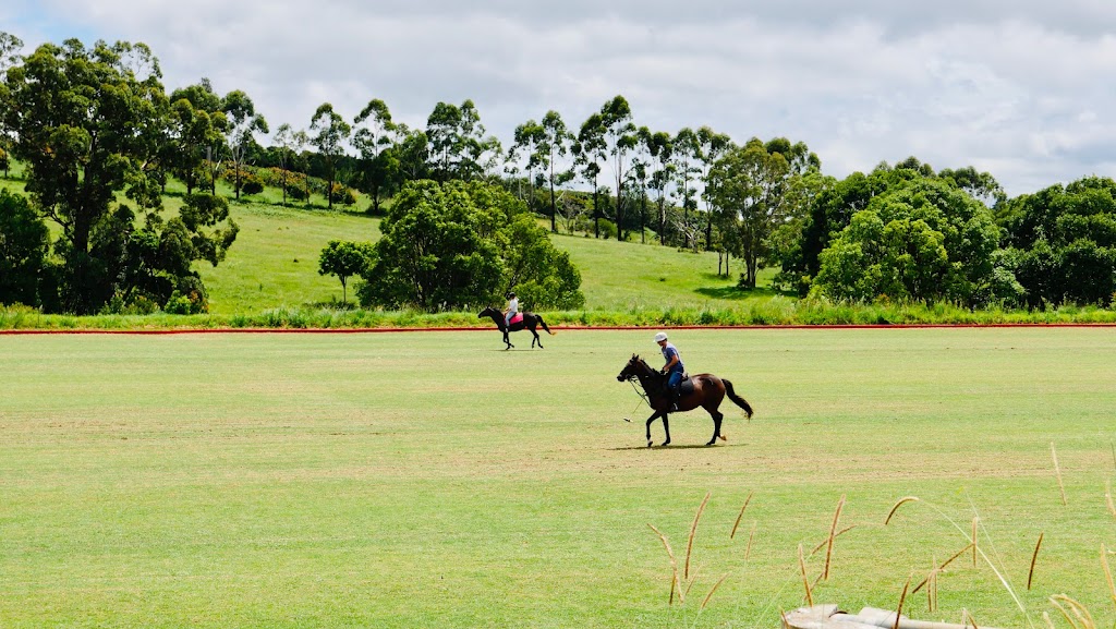 Hazelwood Polo Club | 422 Binna Burra Rd, Beechmont QLD 4211, Australia | Phone: (07) 5602 9710