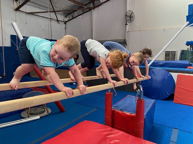 Grips Gymnastics Club | 8-10 Maroondah Hwy, Ringwood VIC 3134, Australia | Phone: (03) 9876 0422