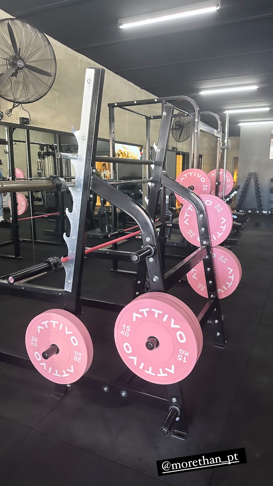 More Than PT | 27 High St, Mansfield VIC 3722, Australia | Phone: 0428 534 386