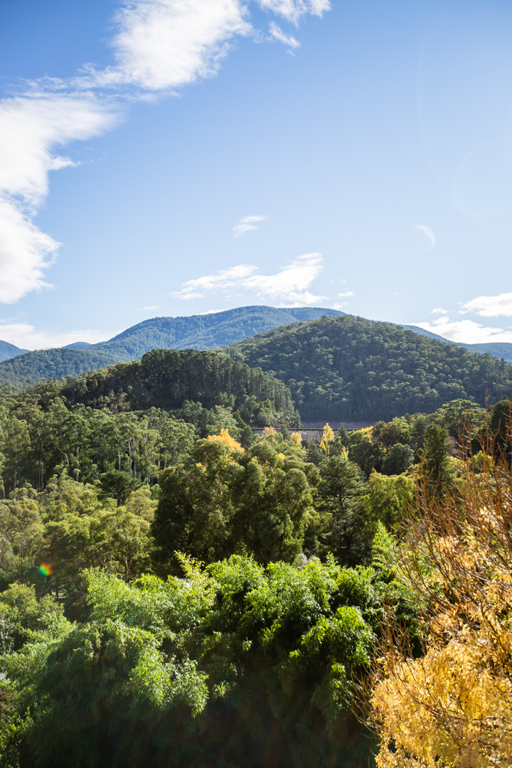 Scott Stephens Acupuncture @ Red Bridge Family Acupuncture Heale | 505 Maroondah Hwy, Healesville VIC 3777, Australia | Phone: (03) 5906 1494