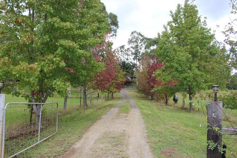 Wollombi Brook Family Farm Stay | lodging | 3128 Christina St, Wollombi NSW 2063, Australia | 0422515905 OR +61 422 515 905