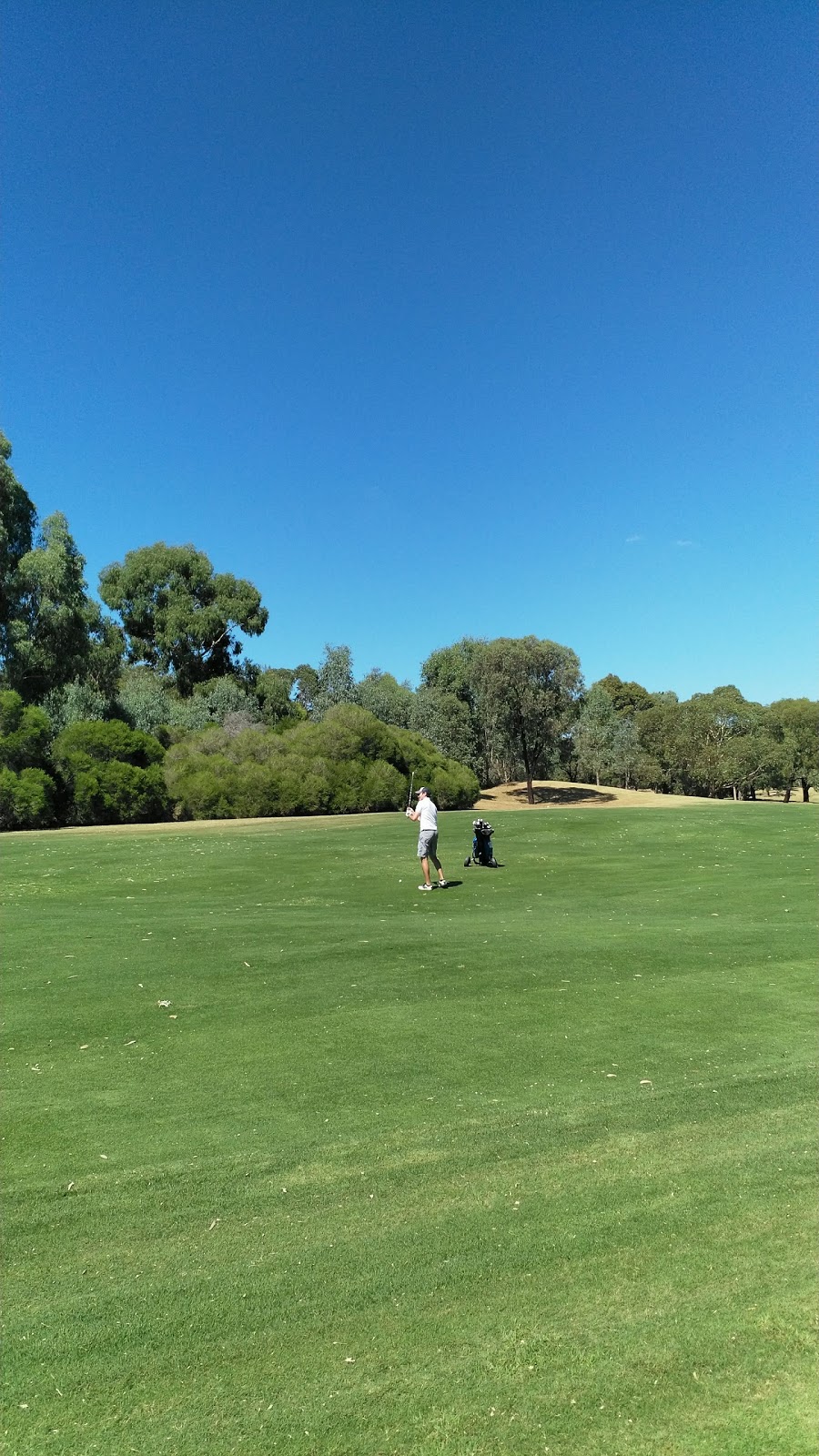 Freeway Golf Course | 47-49 Columba St, Balwyn North VIC 3104, Australia | Phone: (03) 9859 9000