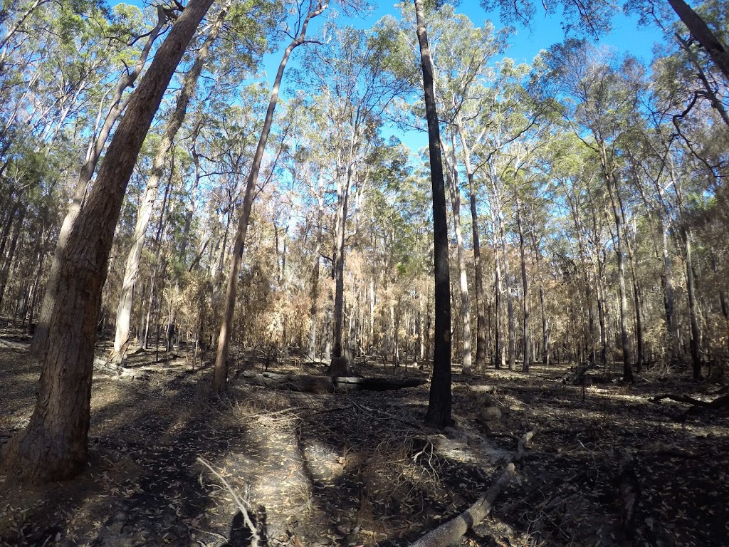 Khappinghat Nature Reserve | park | Koorainghat NSW 2430, Australia