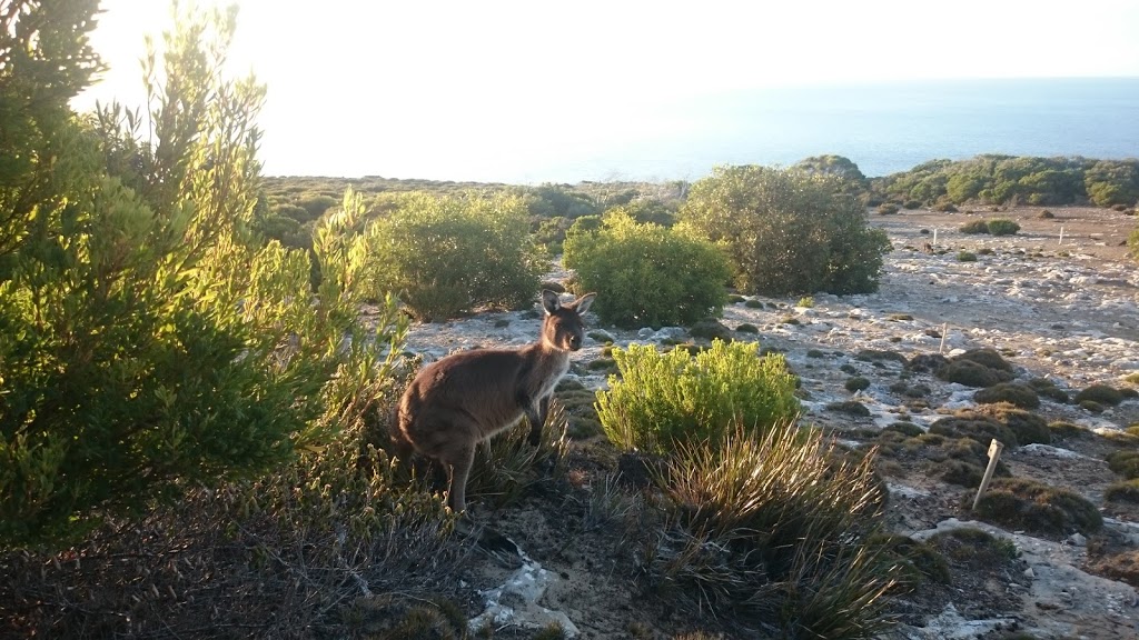 Cape Borda Lighthouse Keepers Heritage Accommodation | Playford Hwy, Cape Borda SA 5223, Australia | Phone: (08) 8553 4410