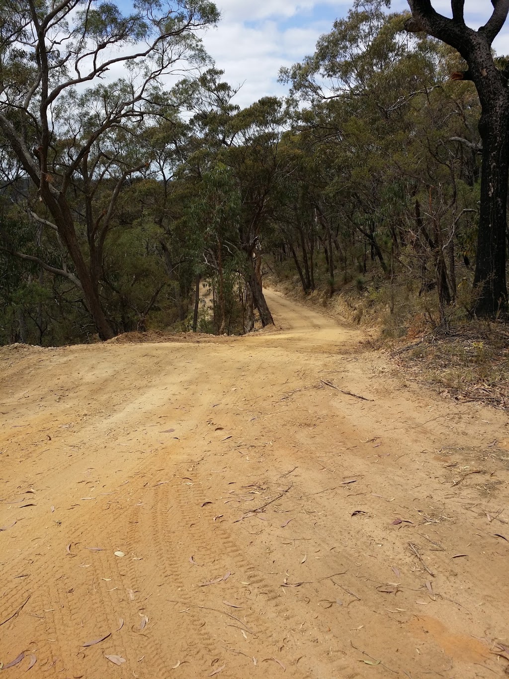 California Trail and Commission Track junction | park | Dural NSW 2330, Australia