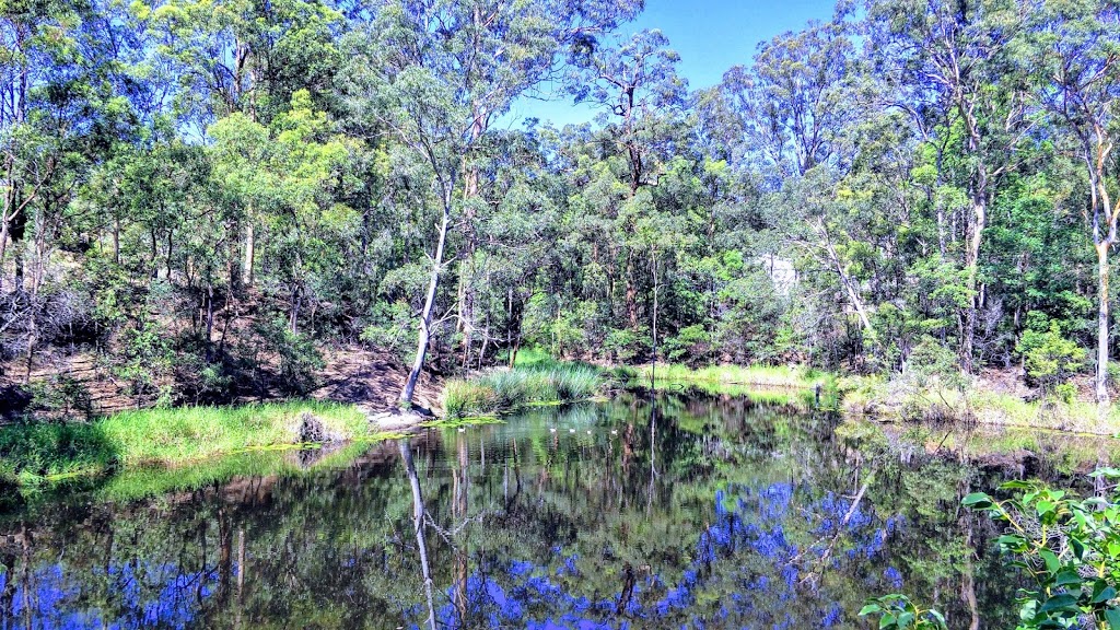 Greenwoods Pond | park | Corvus Dr, Cashmere QLD 4500, Australia