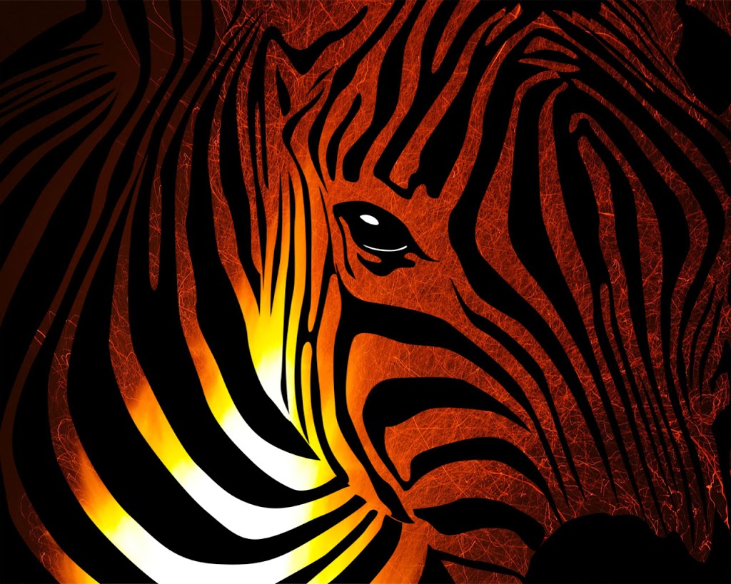 Flaming Zebra Web Design |  | 11 Waratah Ct, Narellan Vale NSW 2567, Australia | 0450423885 OR +61 450 423 885