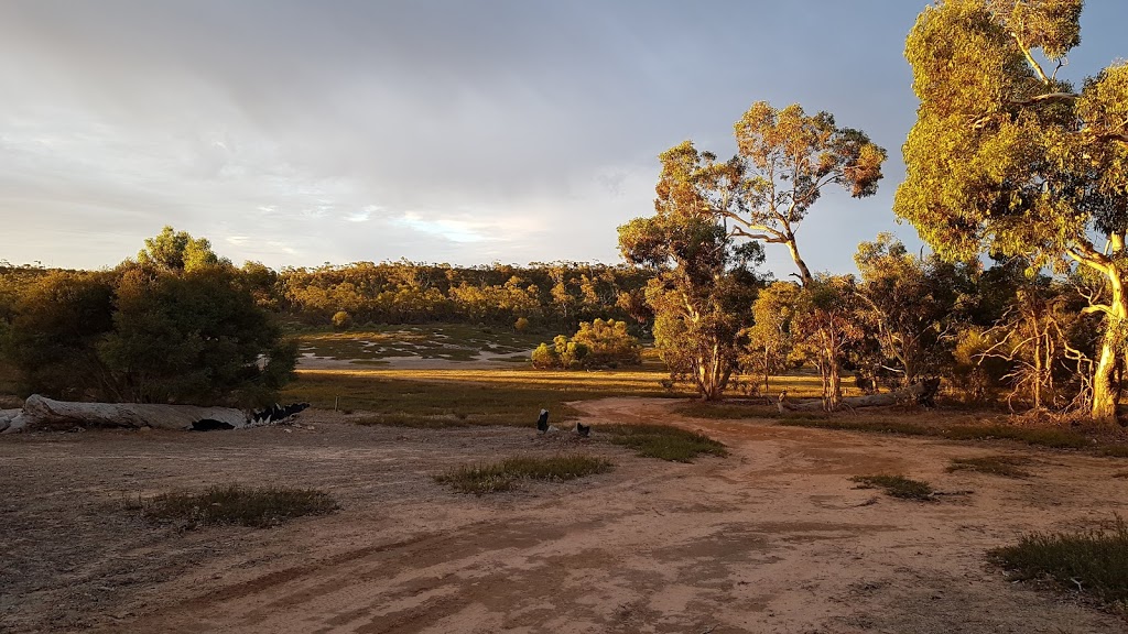 Bucks Camp Campground | Bucks Camp Track, Ngarkat SA 5302, Australia