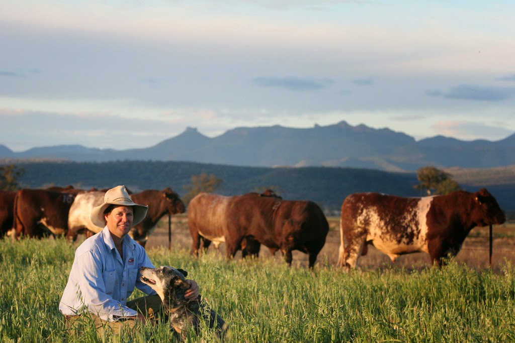 Manchee Agriculture | food | 912 Maules Creek Rd, Narrabri NSW 2390, Australia | 0267944825 OR +61 2 6794 4825