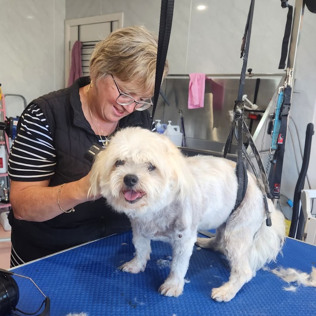 K9 Kutz on Majestic | 27 Majestic Wy, Lara VIC 3212, Australia | Phone: 0416 746 424