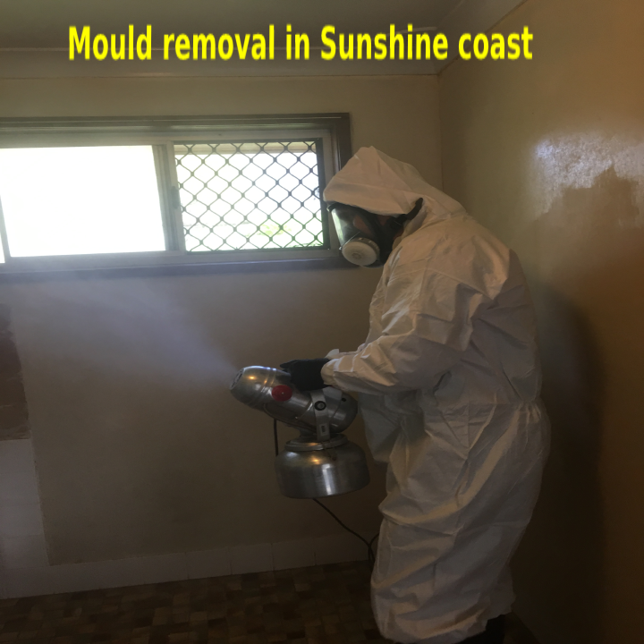 Electrodry Mould Removal Sunshine Coast | 34 Gloucester Rd, Buderim QLD 4556, Australia | Phone: 1300 132 713