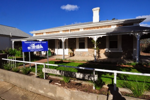 Tanunda Veterinary Clinic | 21 Murray St, Tanunda SA 5352, Australia | Phone: (08) 8563 0235