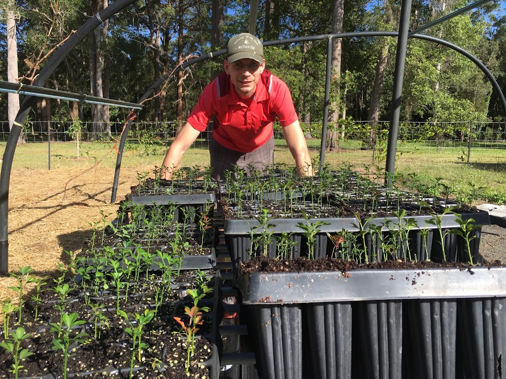 Kinmond Creek Nursery |  | 88 Kinmond Creek Rd, Cootharaba QLD 4565, Australia | 0478715224 OR +61 478 715 224