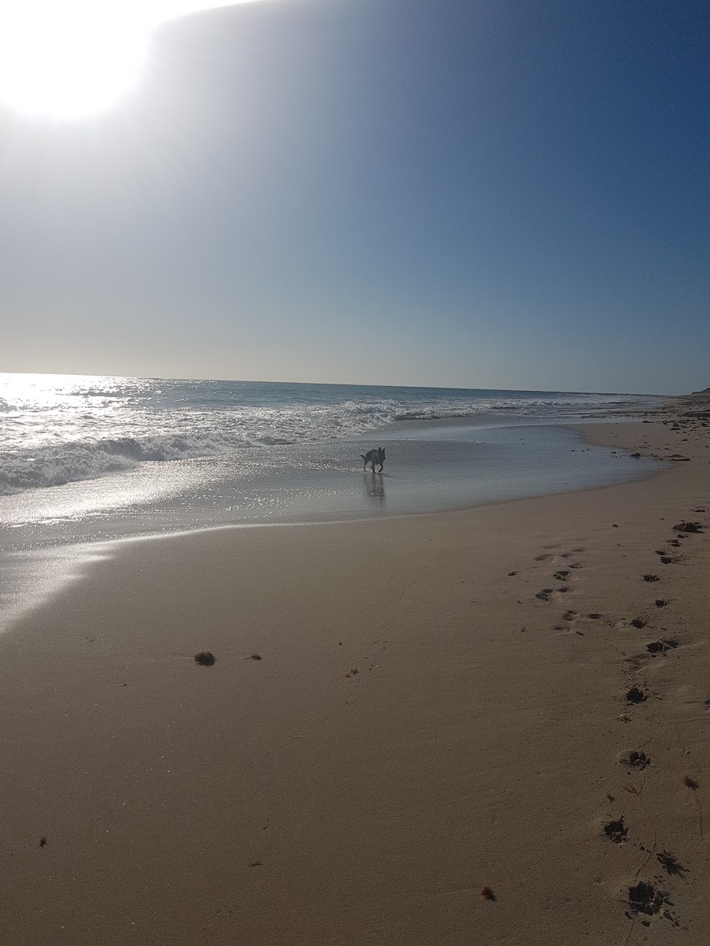 Yanchep Dog Beach | park | 41 Compass Cir, Yanchep WA 6035, Australia