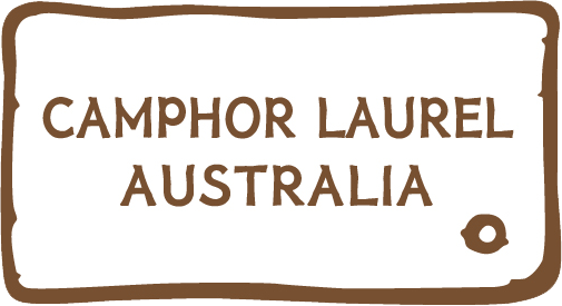CAMPHOR LAUREL AUSTRALIA | home goods store | 10/12-18 Victoria St E, Lidcombe NSW 2141, Australia | 0404884999 OR +61 404 884 999