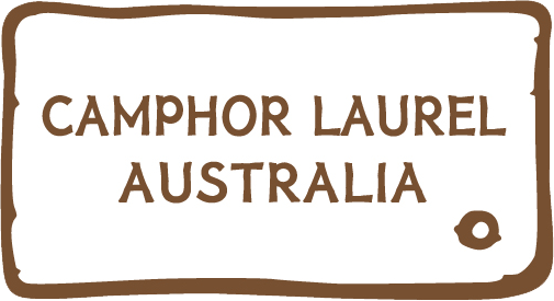 CAMPHOR LAUREL AUSTRALIA | 10/12-18 Victoria St E, Lidcombe NSW 2141, Australia | Phone: 0404 884 999