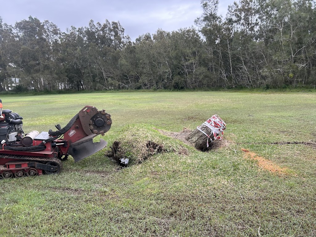 Daly Tree Contracting | 5 Jessie Rd, Anna Bay NSW 2316, Australia | Phone: 0482 476 534