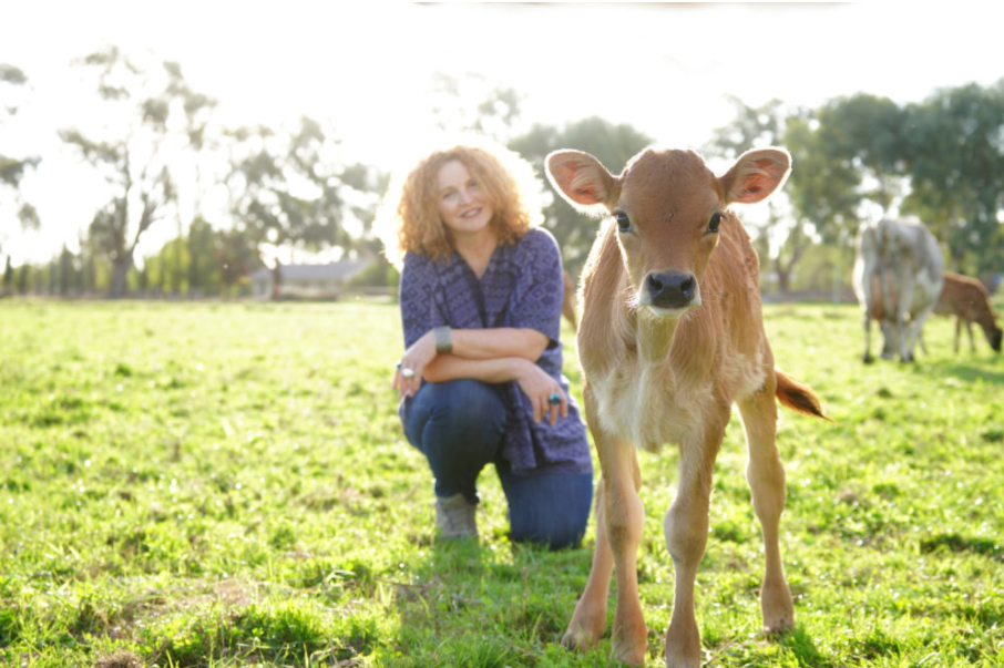 Ethical dairy company |  | 5430 Benalla-Tocumwal Rd, Katamatite VIC 3649, Australia | 0417504579 OR +61 417 504 579