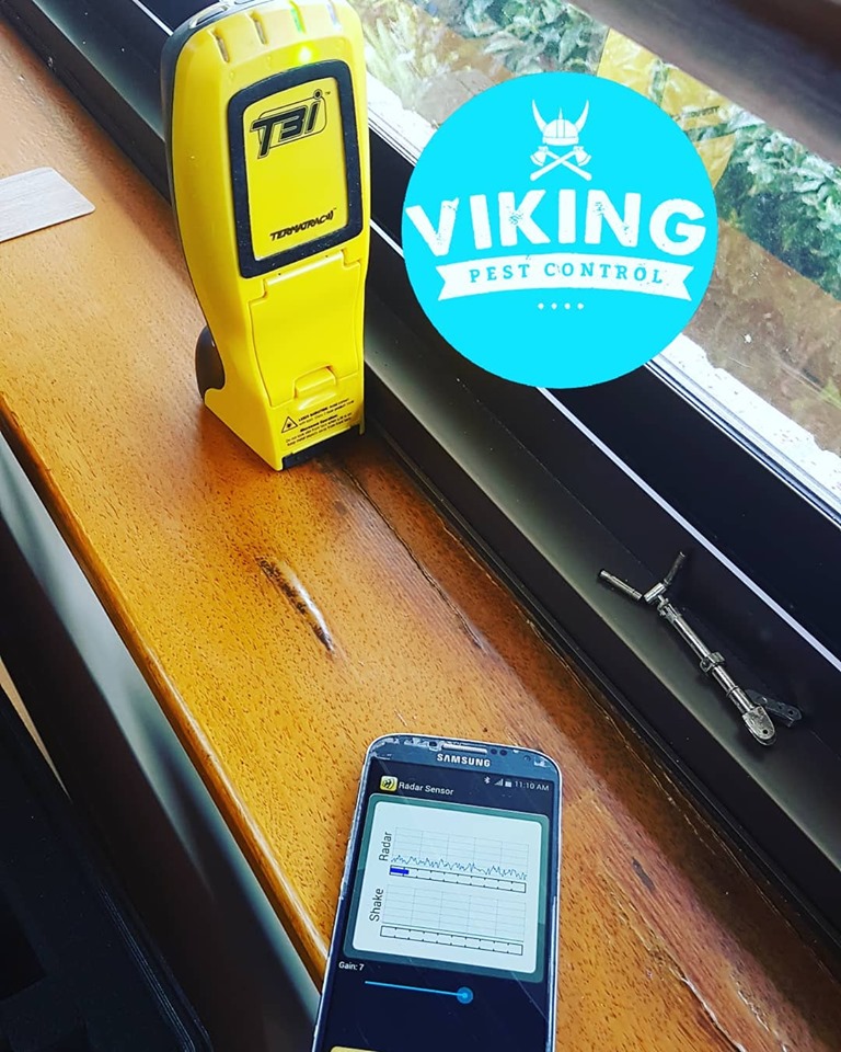 Viking Pest Control | home goods store | 36 Pinevale Dr, Oxenford QLD 4211, Australia | 0420483059 OR +61 420 483 059
