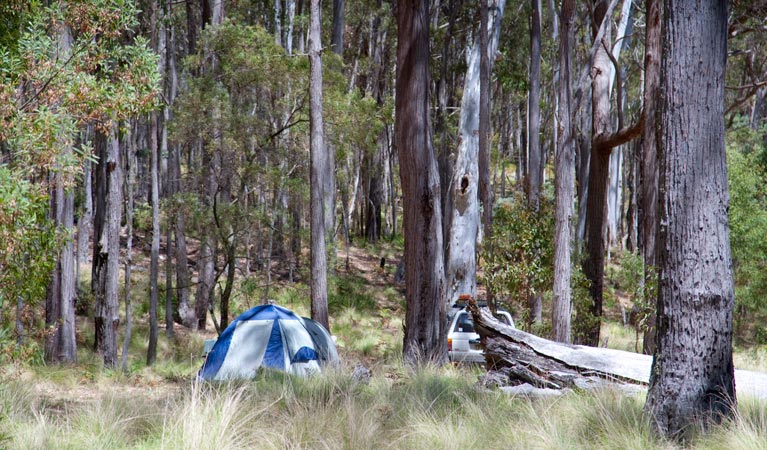 Coxs Creek campground | Coxs Creek Trail, Coolah NSW 2843, Australia | Phone: (02) 6370 9000