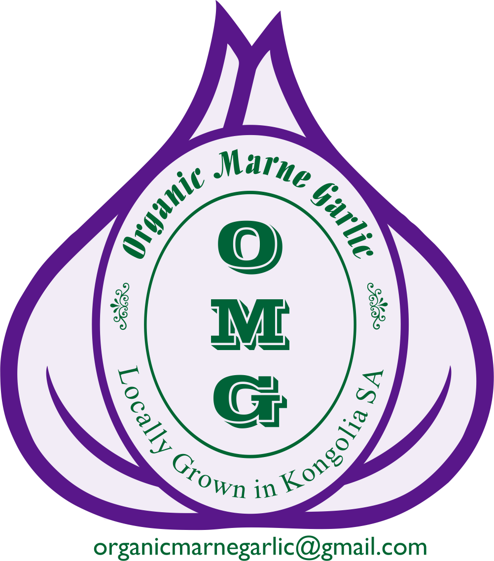 Organic Marne Garlic | 1003 Black Hill Rd, Cambrai SA 5353, Australia | Phone: 0438 732 755