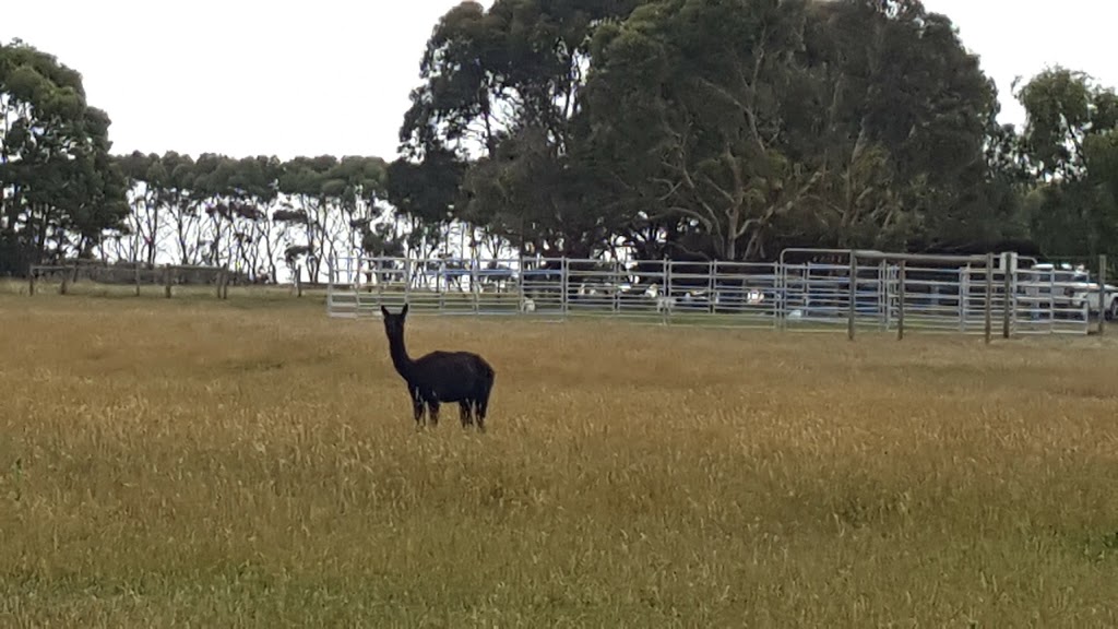 Sea Glimpse Farmstay | 393 Curdievale-Port Campbell Rd, Port Campbell VIC 3269, Australia