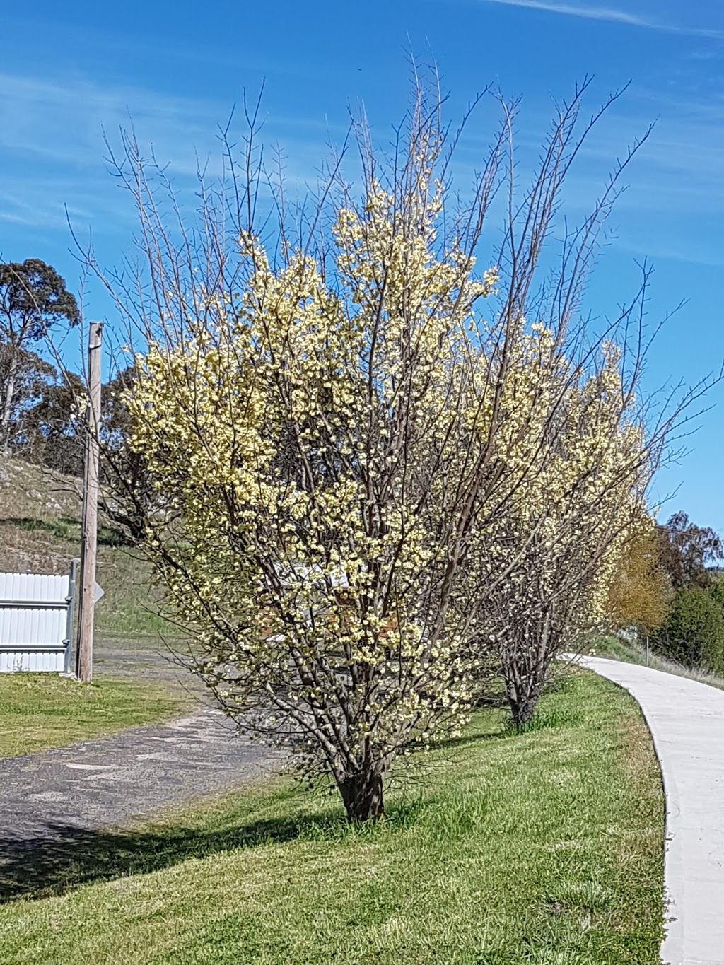 Walcha Bowling & Recreation Club | 14E Croudace St, Walcha NSW 2354, Australia | Phone: (02) 6777 2077