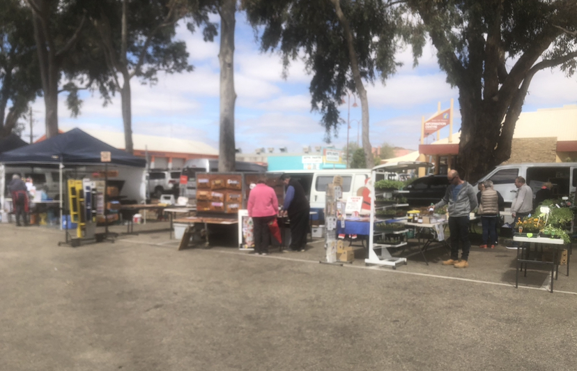 Swan Hill Rotary Market | Curlewis St, Swan Hill VIC 3585, Australia | Phone: 0497 487 976