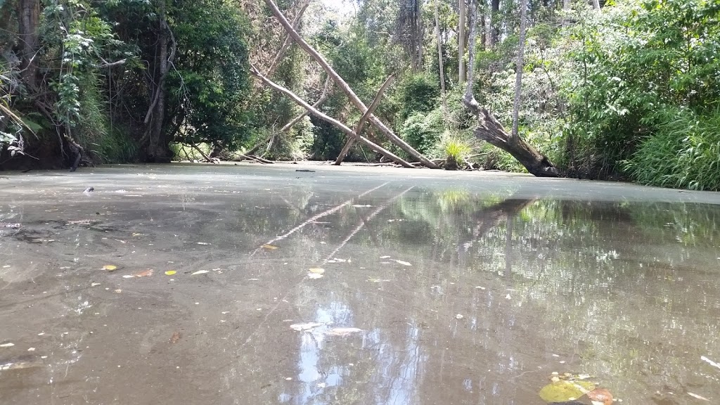 Woondum Conservation Park | Pinbarren QLD 4568, Australia