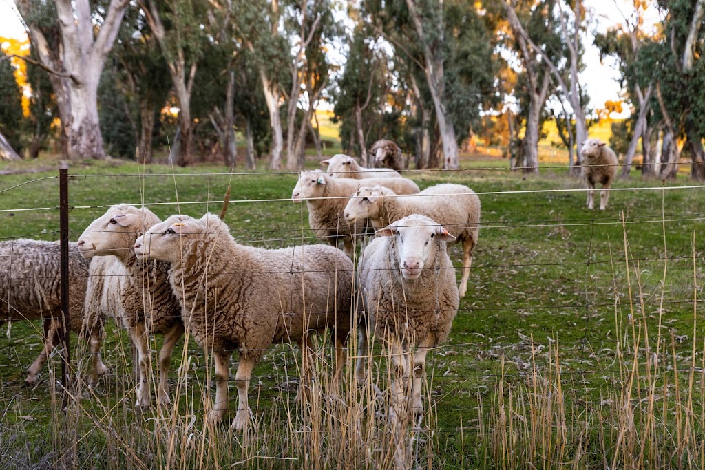 BAROSSA GRAND RETREATS | 235 Gawler Park Rd, Angaston SA 5353, Australia | Phone: 0407 393 596