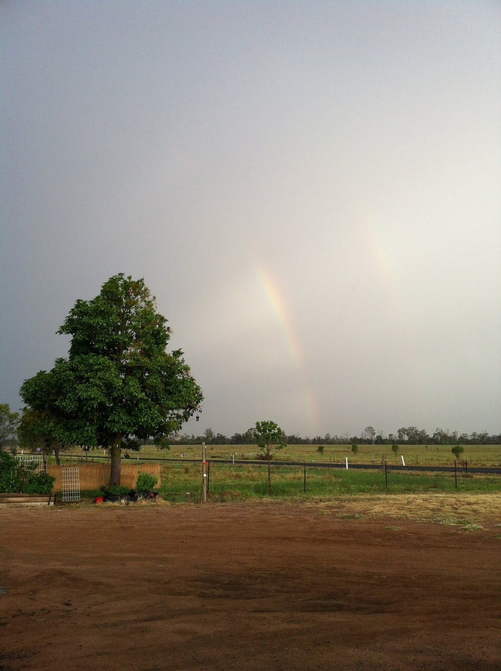 Evergreen Farms | 5449 Gregory Hwy, Emerald QLD 4720, Australia | Phone: 0487 367 175