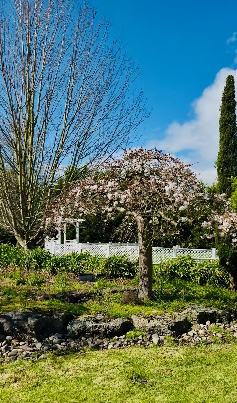 Osmé Garden | 580 Belgrave-Hallam Rd, Narre Warren East VIC 3804, Australia | Phone: 0450 429 017