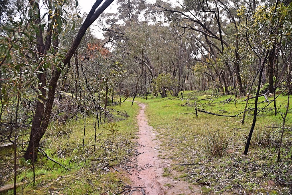 The Pines Reserve | Tarlee Rd, Kapunda SA 5373, Australia