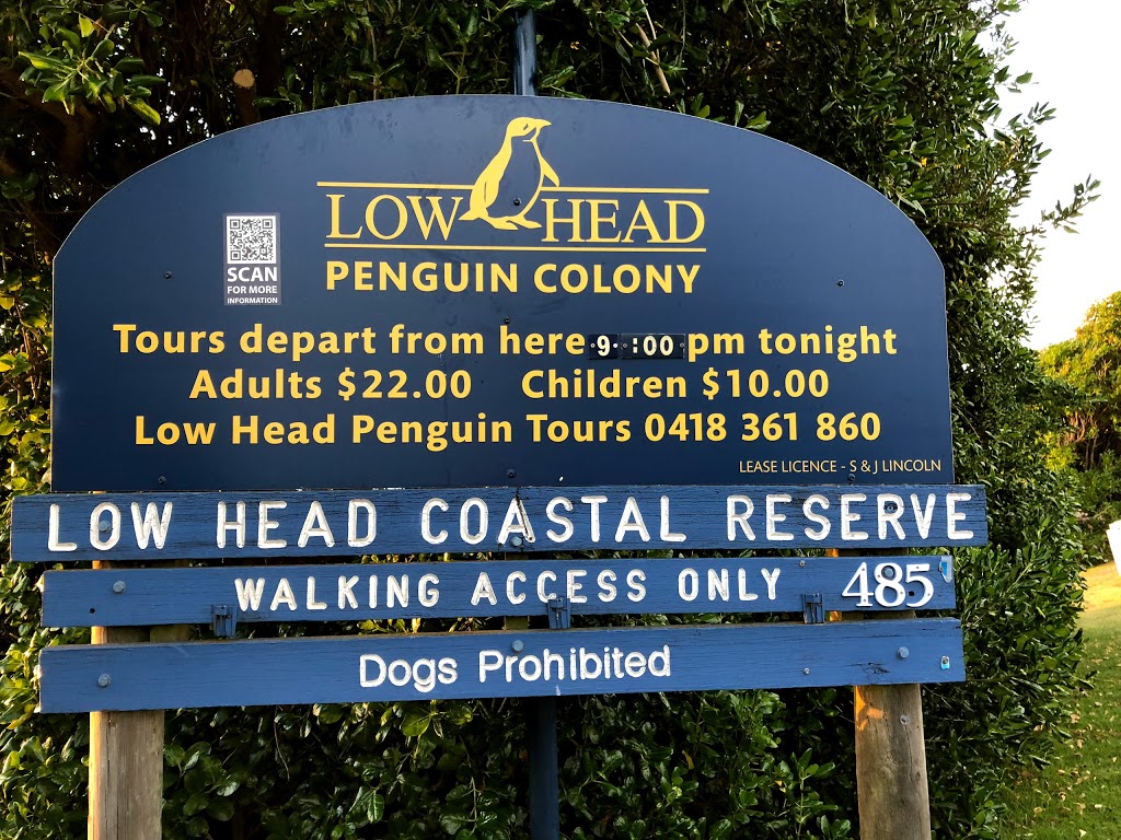 Low Head Penguin Tours | 485 Low Head Rd, Low Head TAS 7253, Australia | Phone: 0418 361 860