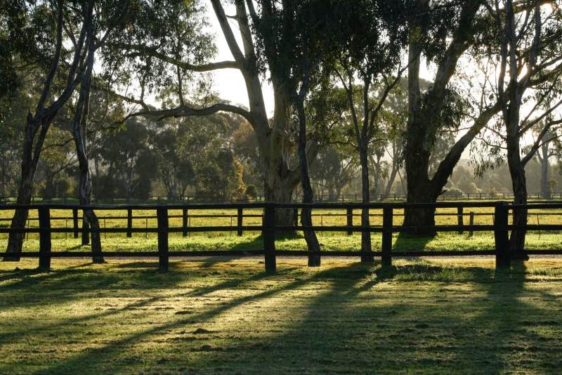 Blue Gum Farm | 72 Faris Rd, Euroa VIC 3666, Australia | Phone: (03) 5795 3331