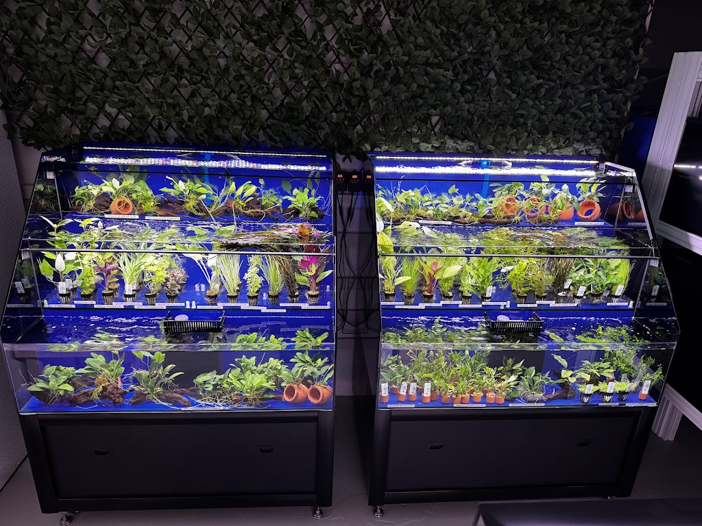 Freshwater Aquariums & Pets | 16 Longfield St, Stawell VIC 3380, Australia | Phone: 0400 927 762