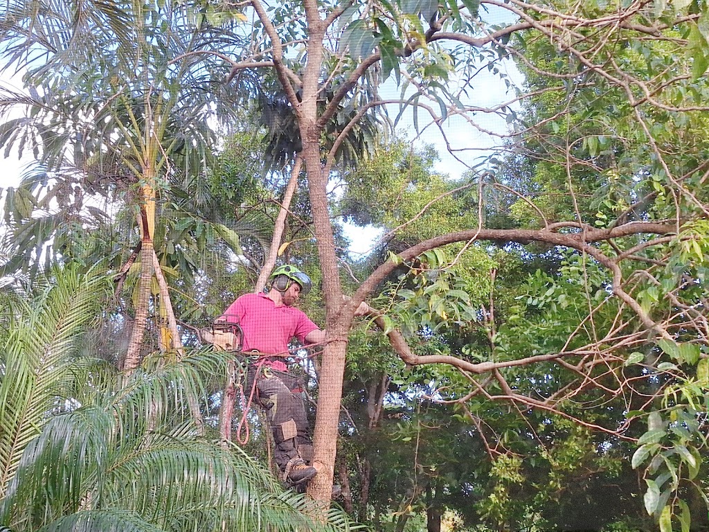 Jungle Jess Pty Ltd | 50 Garlinge Ct, Bonogin QLD 4213, Australia | Phone: 0480 473 902