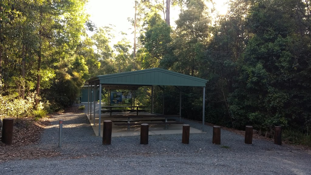 Burrawan State Forest | park | Herons Creek NSW 2443, Australia | 1300655687 OR +61 1300 655 687