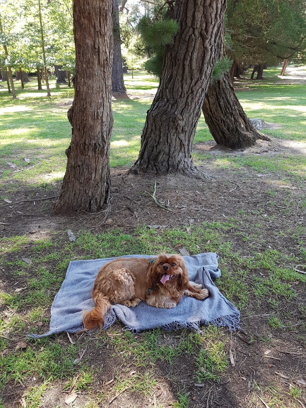 Burradoo Park | park | Moss Vale Rd, Burradoo NSW 2576, Australia