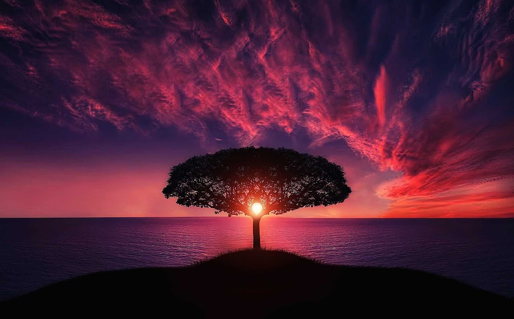Bright Vista Counselling Service | 15 Knollbrook Cl, Highton VIC 3216, Australia | Phone: 0431 212 099