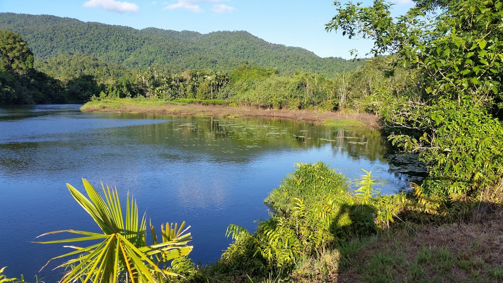Russell River National Park | park | East Russell QLD 4861, Australia | 137468 OR +61 137468