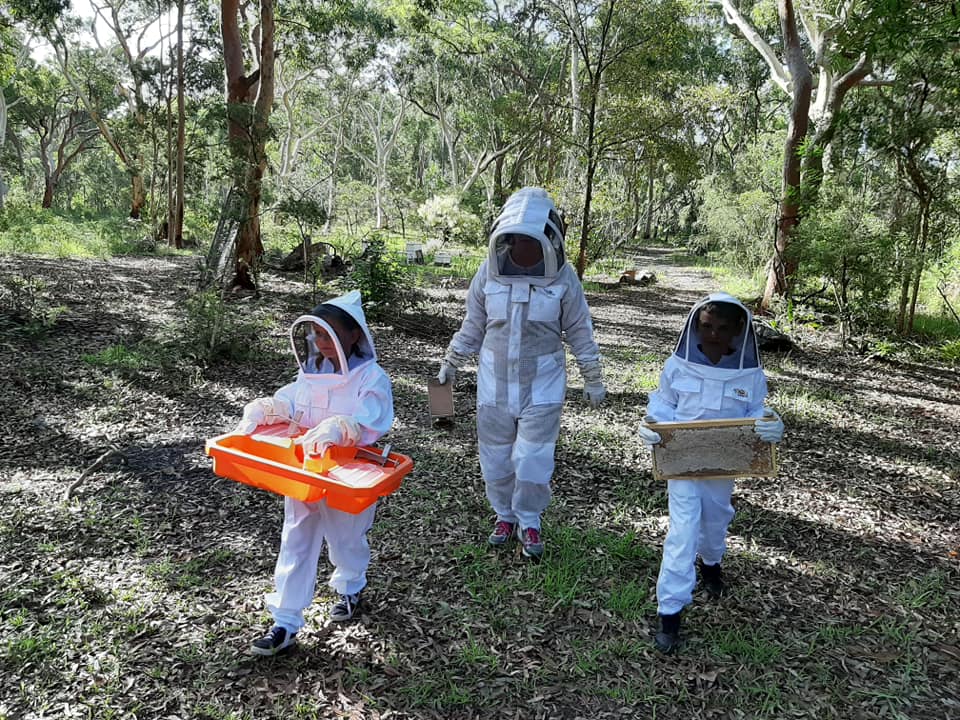 1000 Flowers Honey | 1 Shady Ave, Salt Ash NSW 2318, Australia | Phone: 0432 941 560