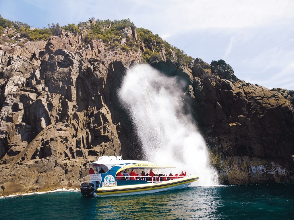 Bruny Island Cruises | 1005 Adventure Bay Rd, Adventure Bay TAS 7150, Australia | Phone: (03) 6293 1465