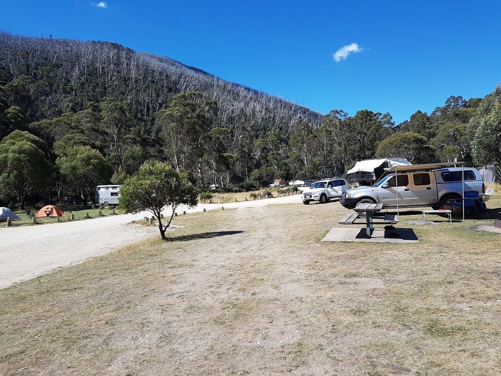 Ngarigo campground | Alpine Way, Kosciuszko National Park NSW 2627, Australia | Phone: (02) 6450 5600