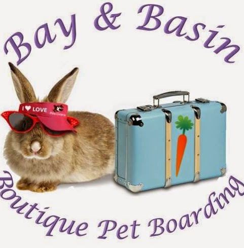Bay & Basin Boutique Pet Boarding | 195 Island Point Rd, St Georges Basin NSW 2540, Australia | Phone: 0402 092 493