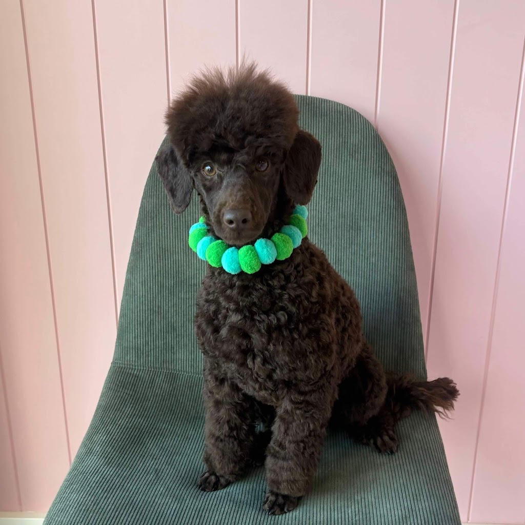 Puppy Love Dog Grooming | 15 Honeybee Cres, Calderwood NSW 2527, Australia | Phone: 0468 921 883