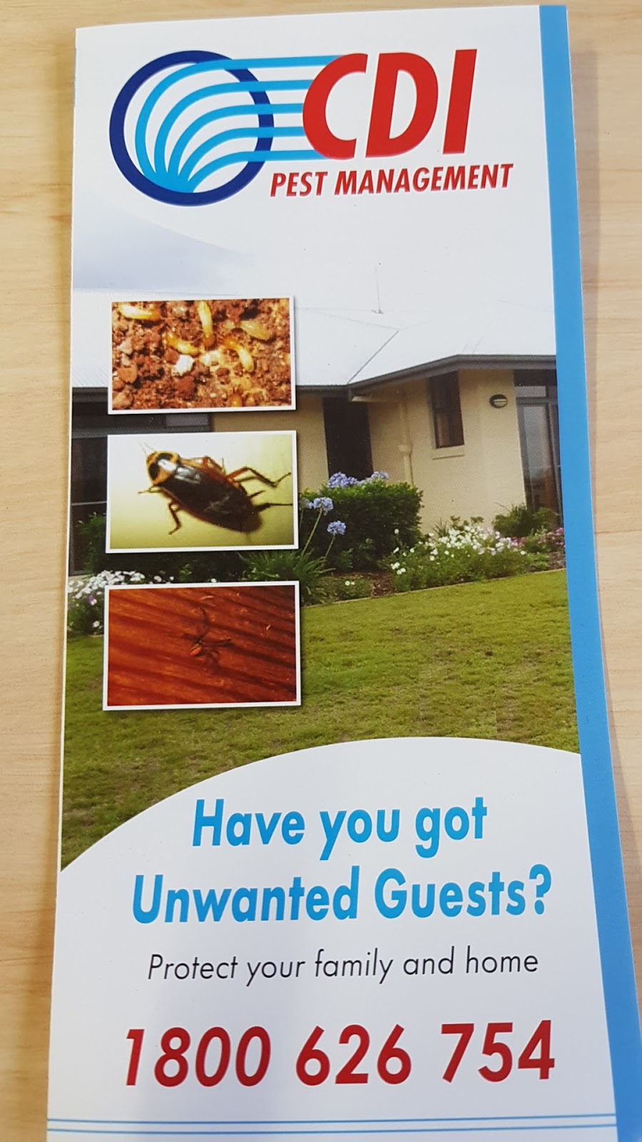 CDI Pest Management - Toowoomba | 3/227 West St, Toowoomba City QLD 4350, Australia | Phone: (07) 4613 6006
